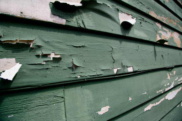 Best Demolition Debris Removal  in Evergreen, MT